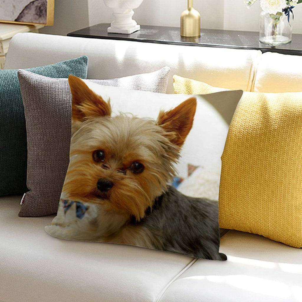 Yorkie in Bed Soft Multiple Sizes Throw Pillow