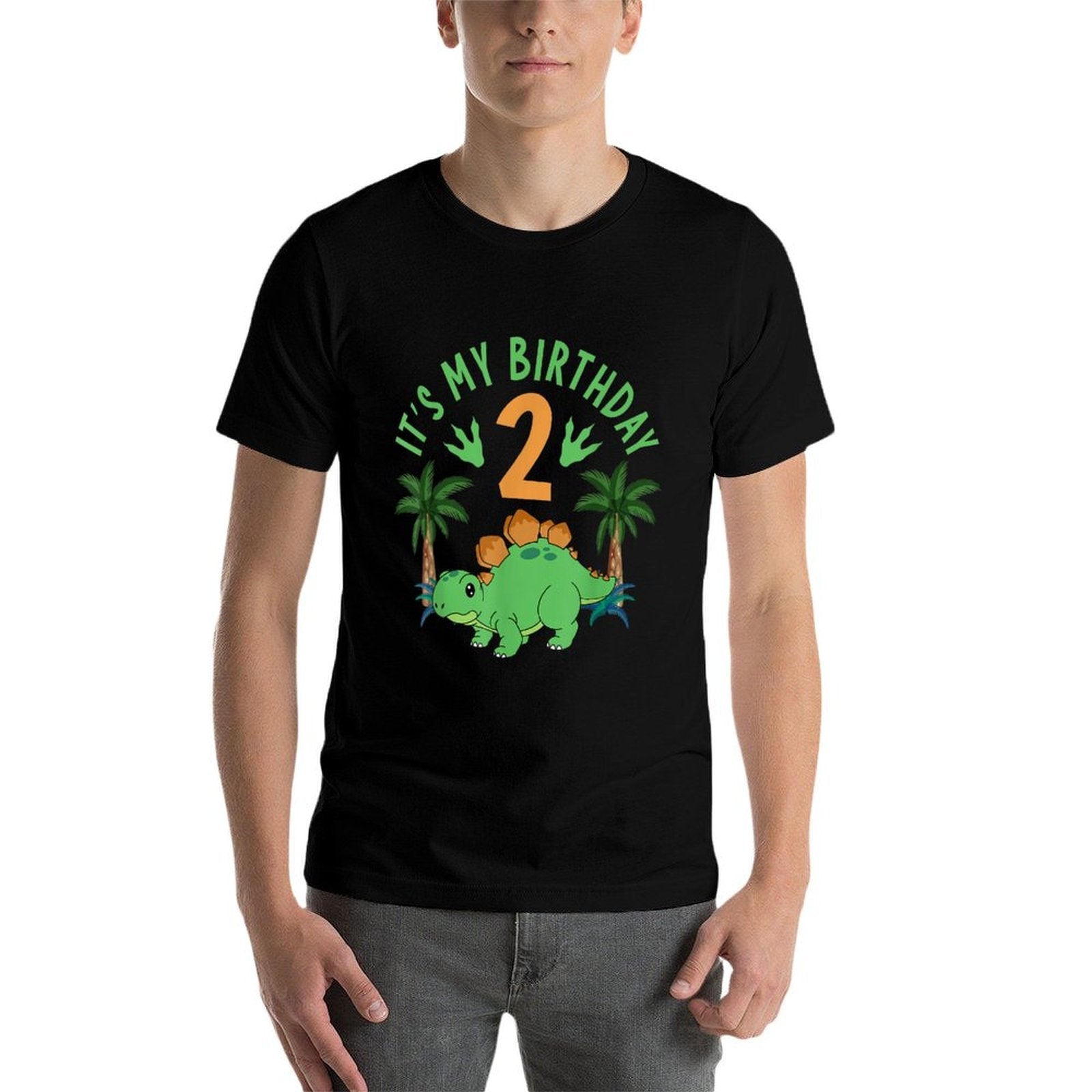 It's My 2nd Birthday Dinosaur Birthday Boy Girl Matching  Graphic-printed T-Shirt
