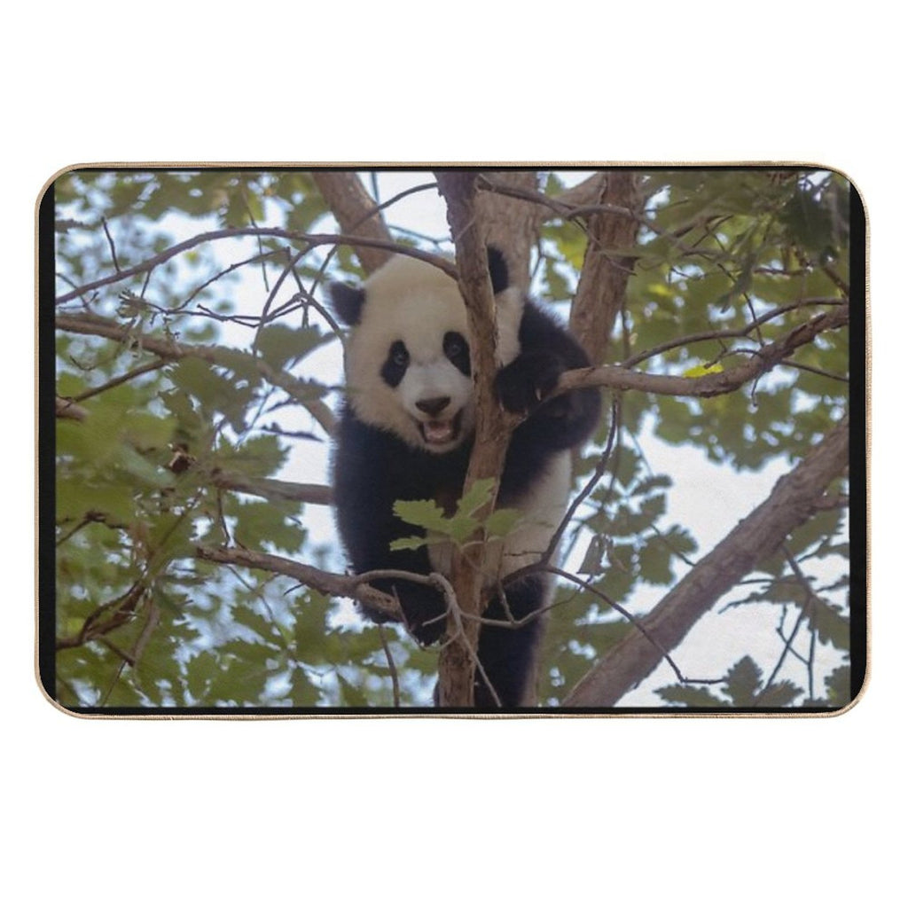 Baby Panda Xiao Qi Ji at The National Zoo  Non-Slip Bath Mat