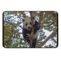 Baby Panda Xiao Qi Ji at The National Zoo  Non-Slip Bath Mat