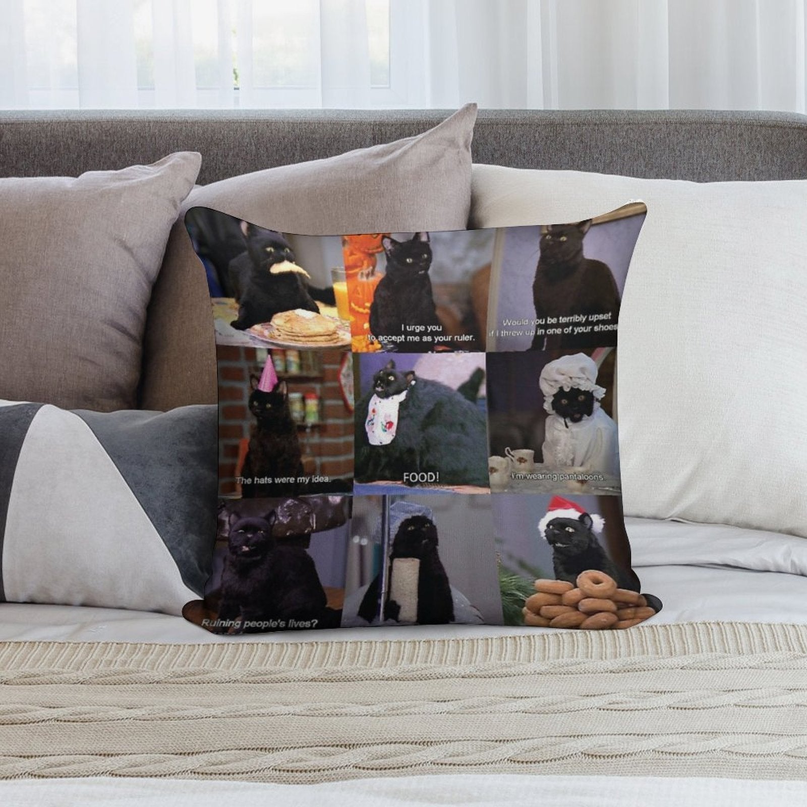 Musings of Salem Soft Easy Maintenance Throw Pillow