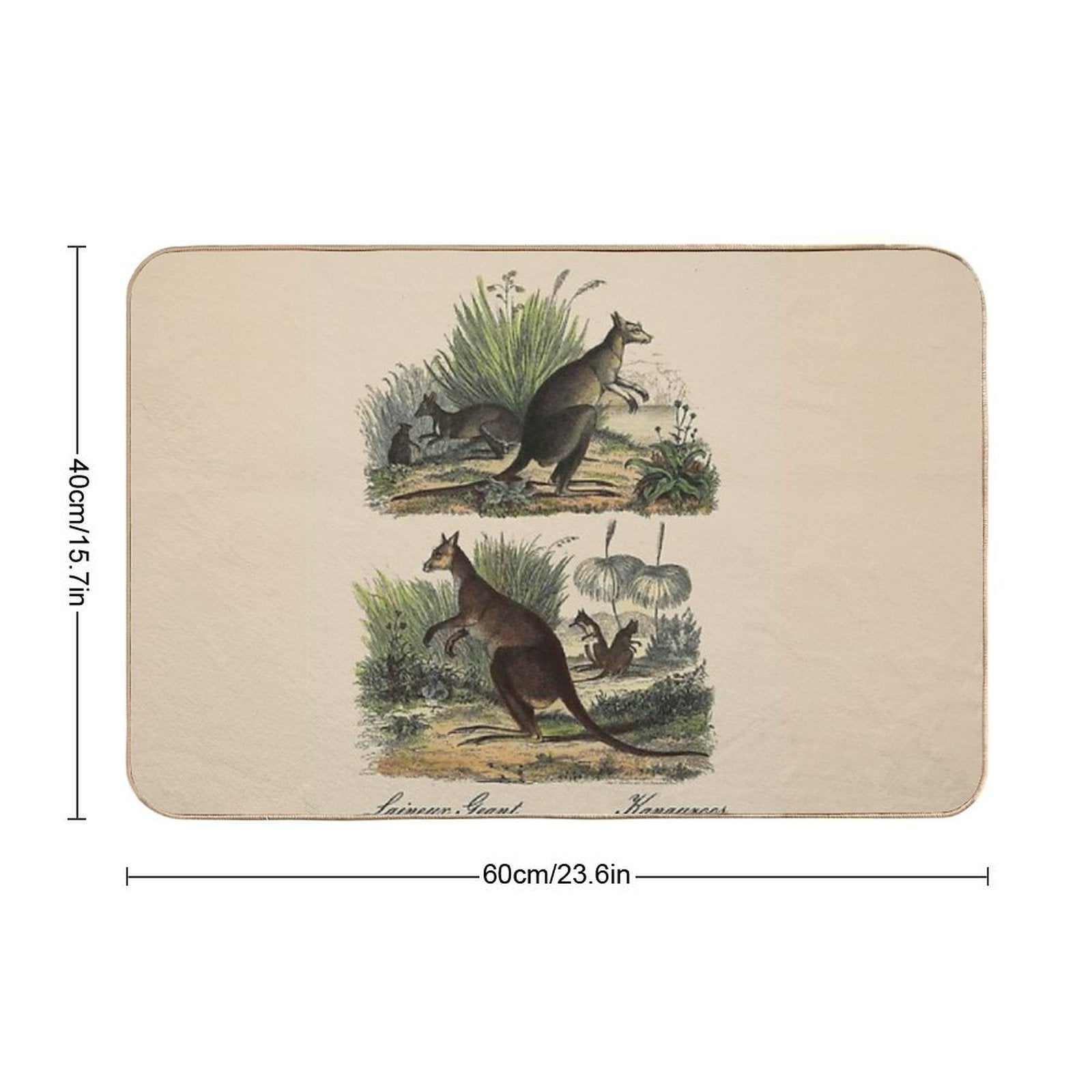 KANGAROO  Vintage 1854 Comte Print  Odorless Bath Mat