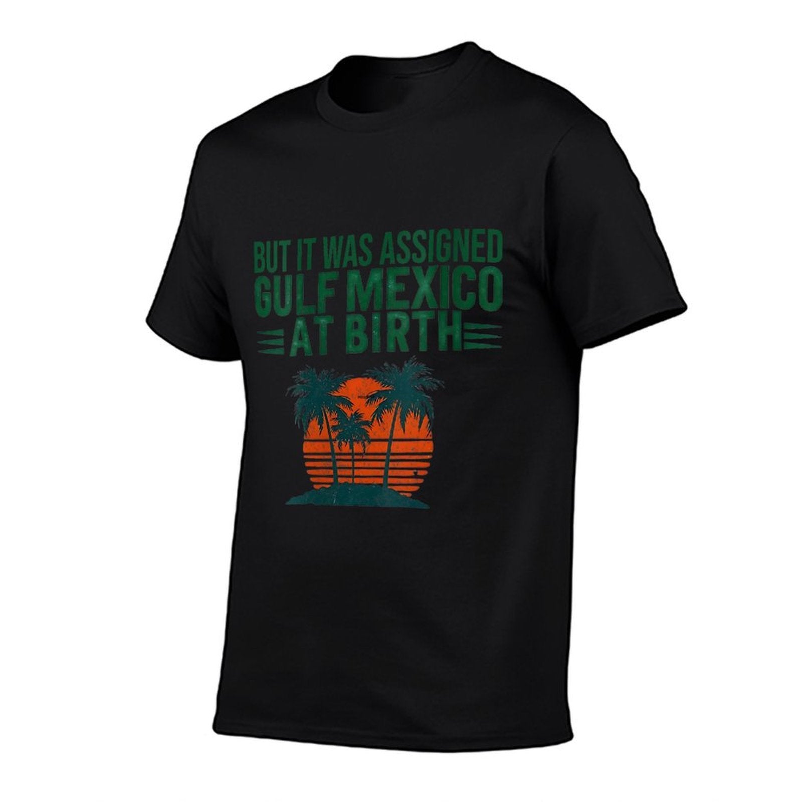 Womens But It Was Assigned Gulf Of Mexico At Birth Retro Vintage  Polyester Blend T-Shirt