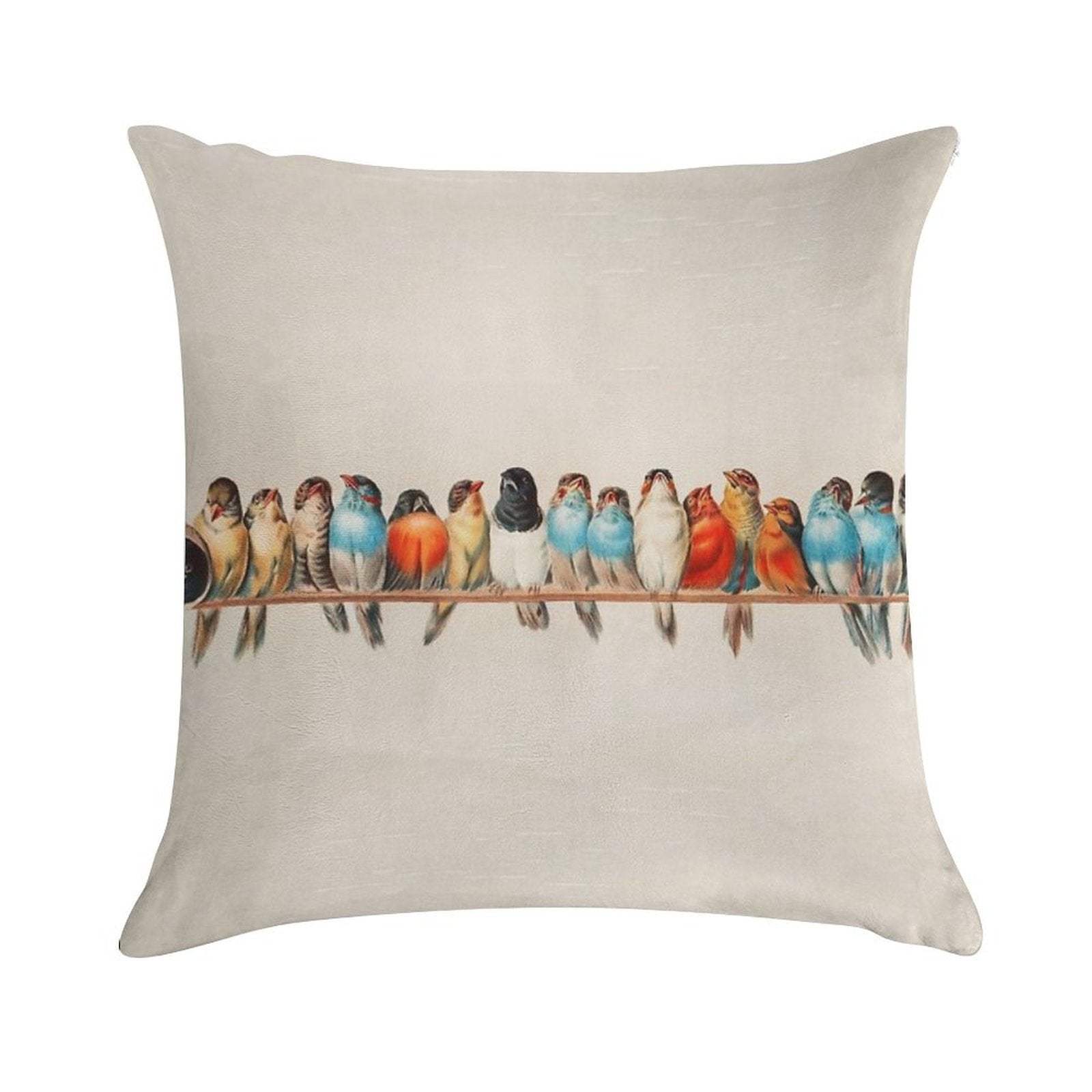 Vintage Birds Soft Reinforced Edging Throw Pillow