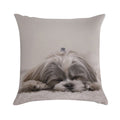 Shih Tzu Sleeping Soft Multiple Sizes Throw Pillow