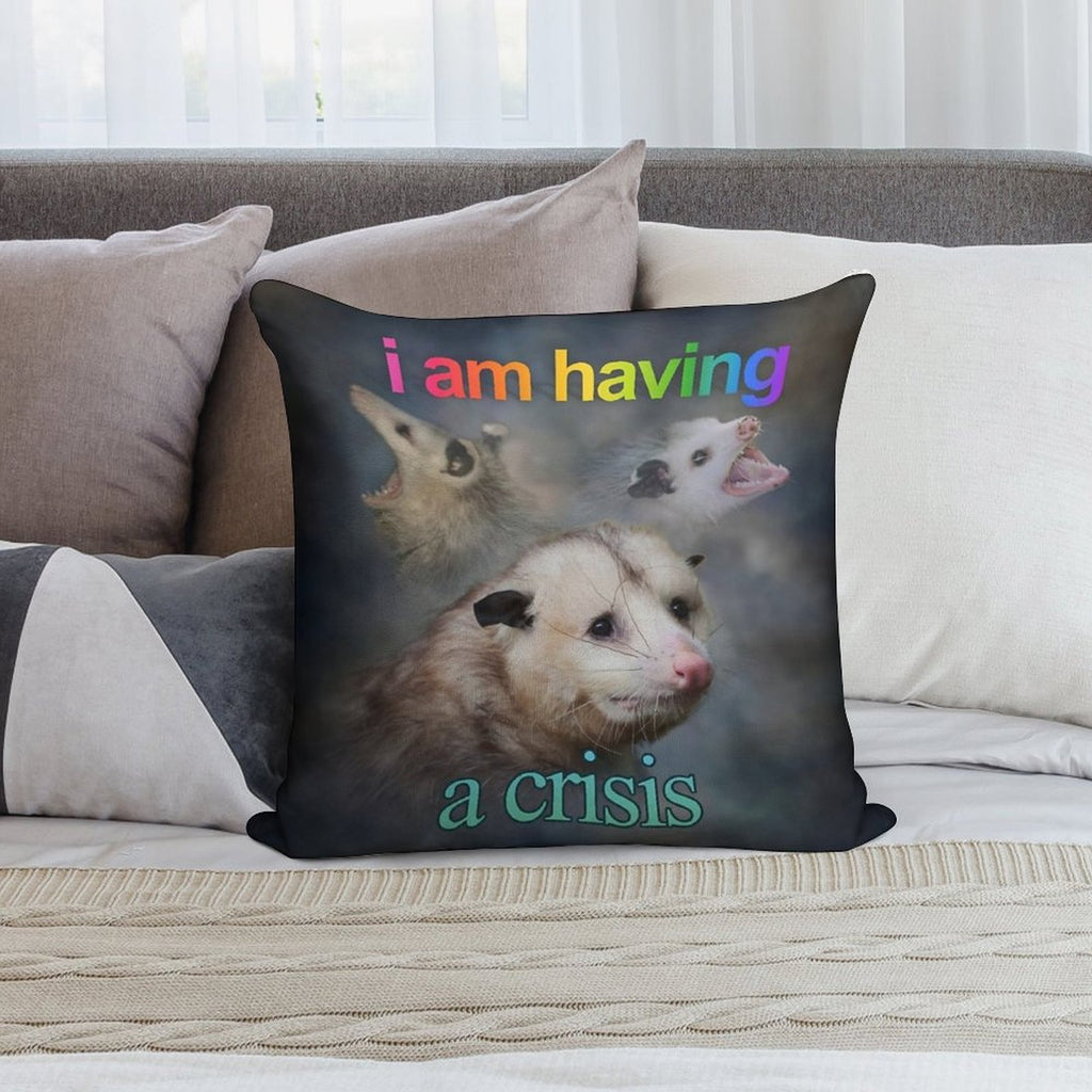 I Am Having A Crisis Possum Word Art Soft Luxury Feel Throw Pillow