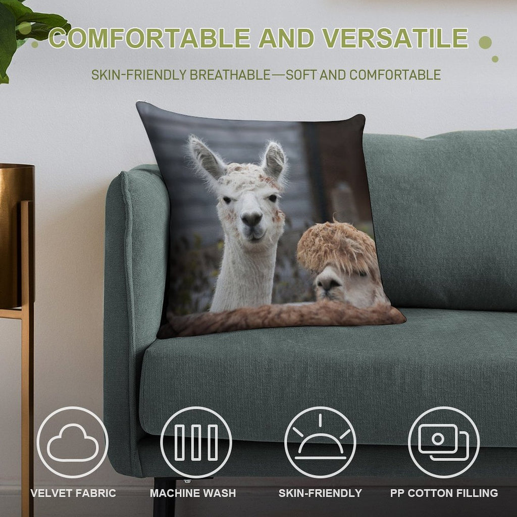 Curious Alpacas Cute Animals Soft Style Accent Throw Pillow