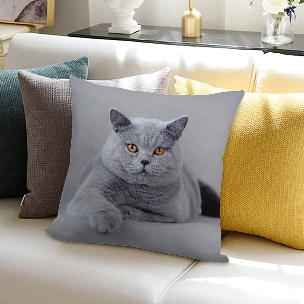 British Shorthair Cat Portrait Soft Durable Construction Throw Pillow