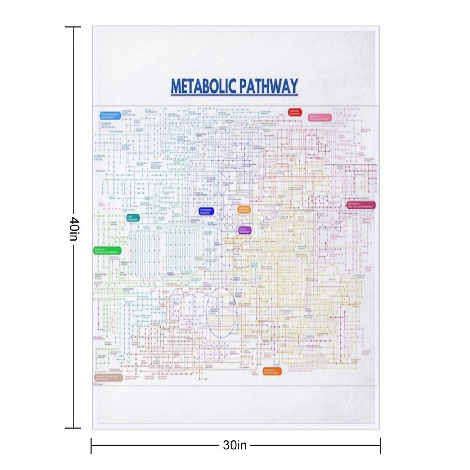 Metabolic Pathway Map Wrinkle-free Throw Blanket