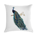 Vintage Peacock Soft Shrink-Resistant Throw Pillow
