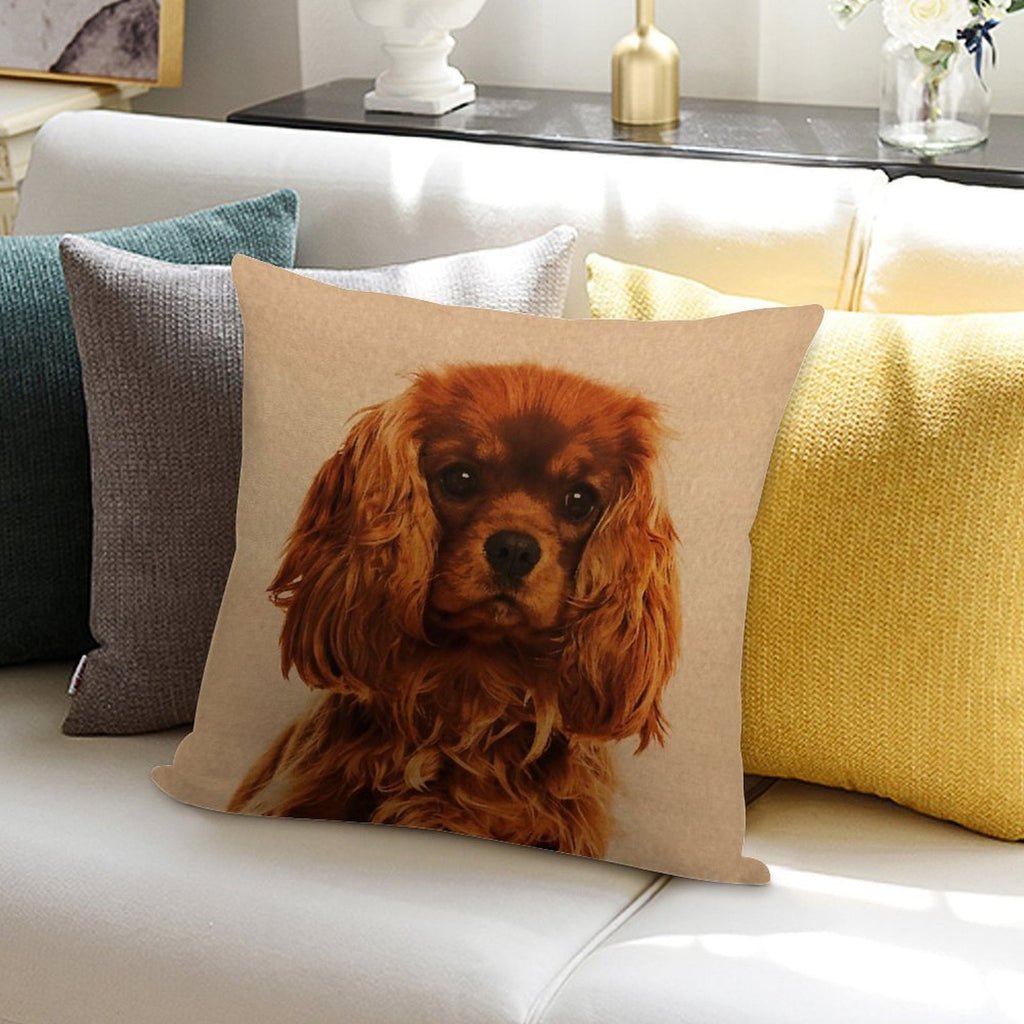 Cavalier King Charles Spaniel Soft Multiple Sizes Throw Pillow
