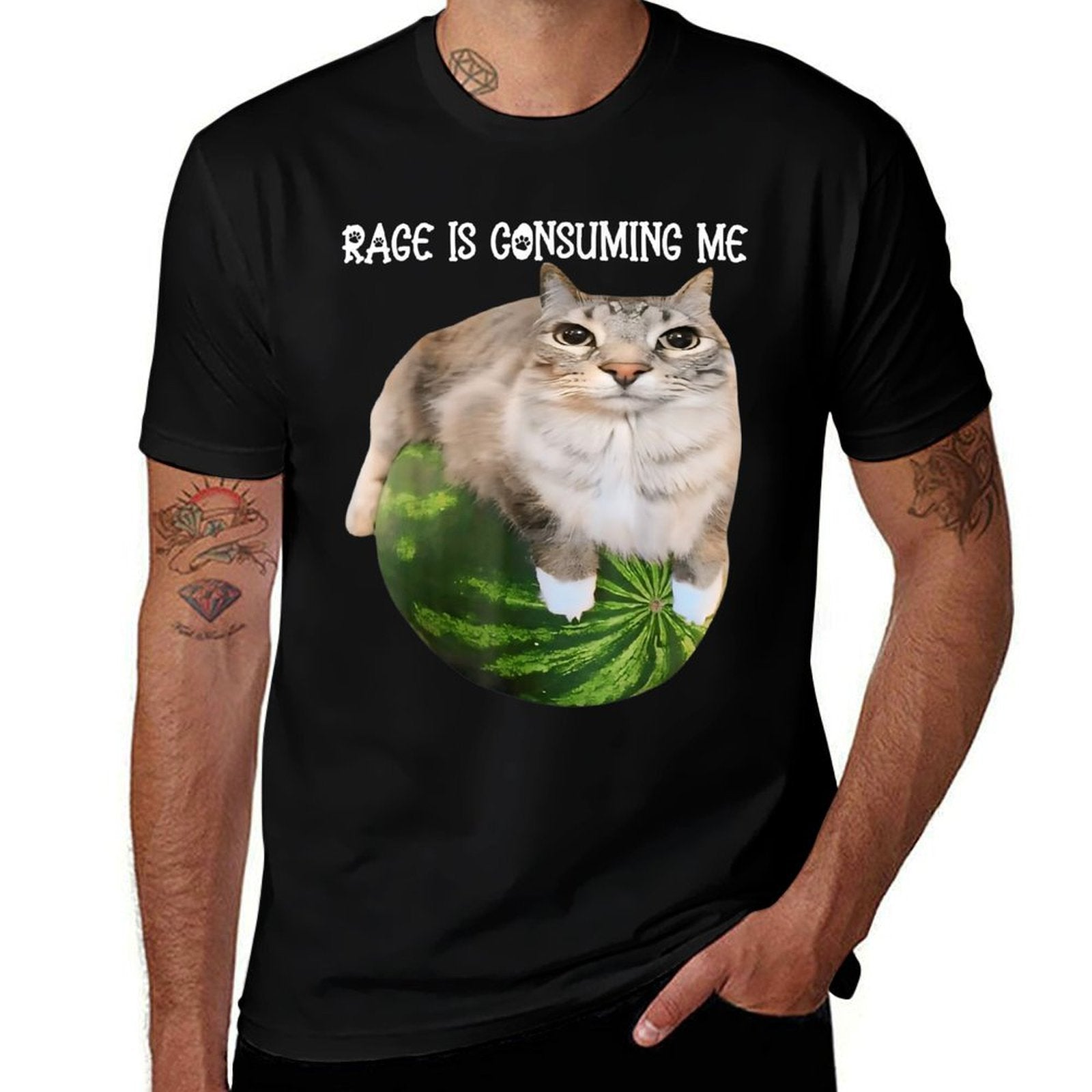 Rage Is Consuming Me Meme Cat Meme Oddly Specific Memes Joke  Rolled Sleeves T-Shirt