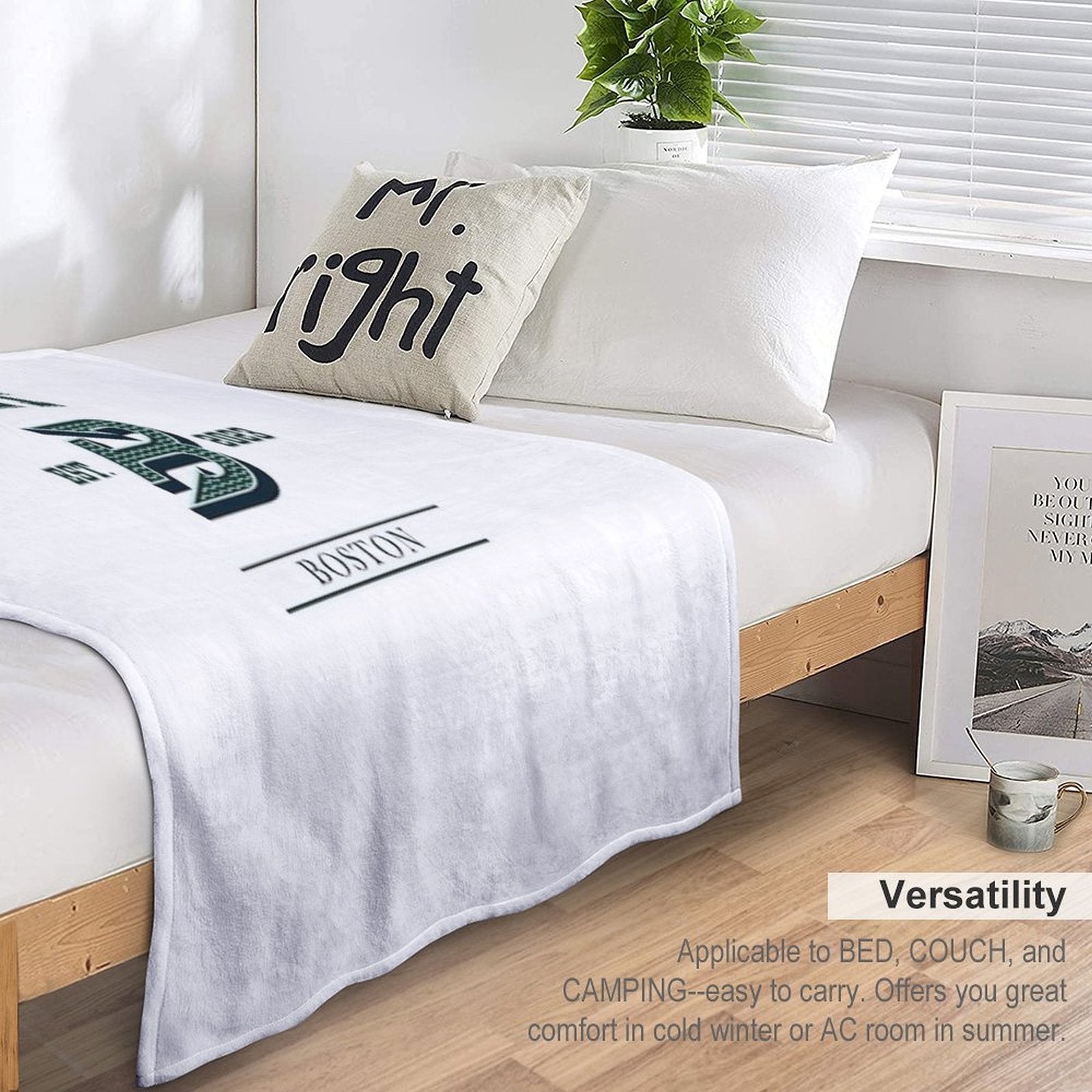 Boston Fleet PWHL Vintage Logo Comfort Throw Blanket