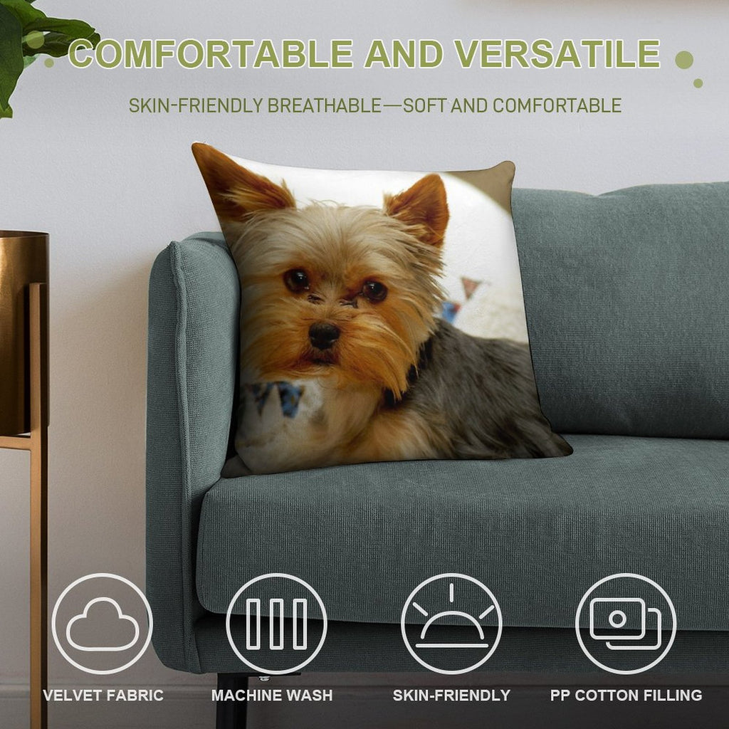 Yorkie in Bed Soft Multiple Sizes Throw Pillow