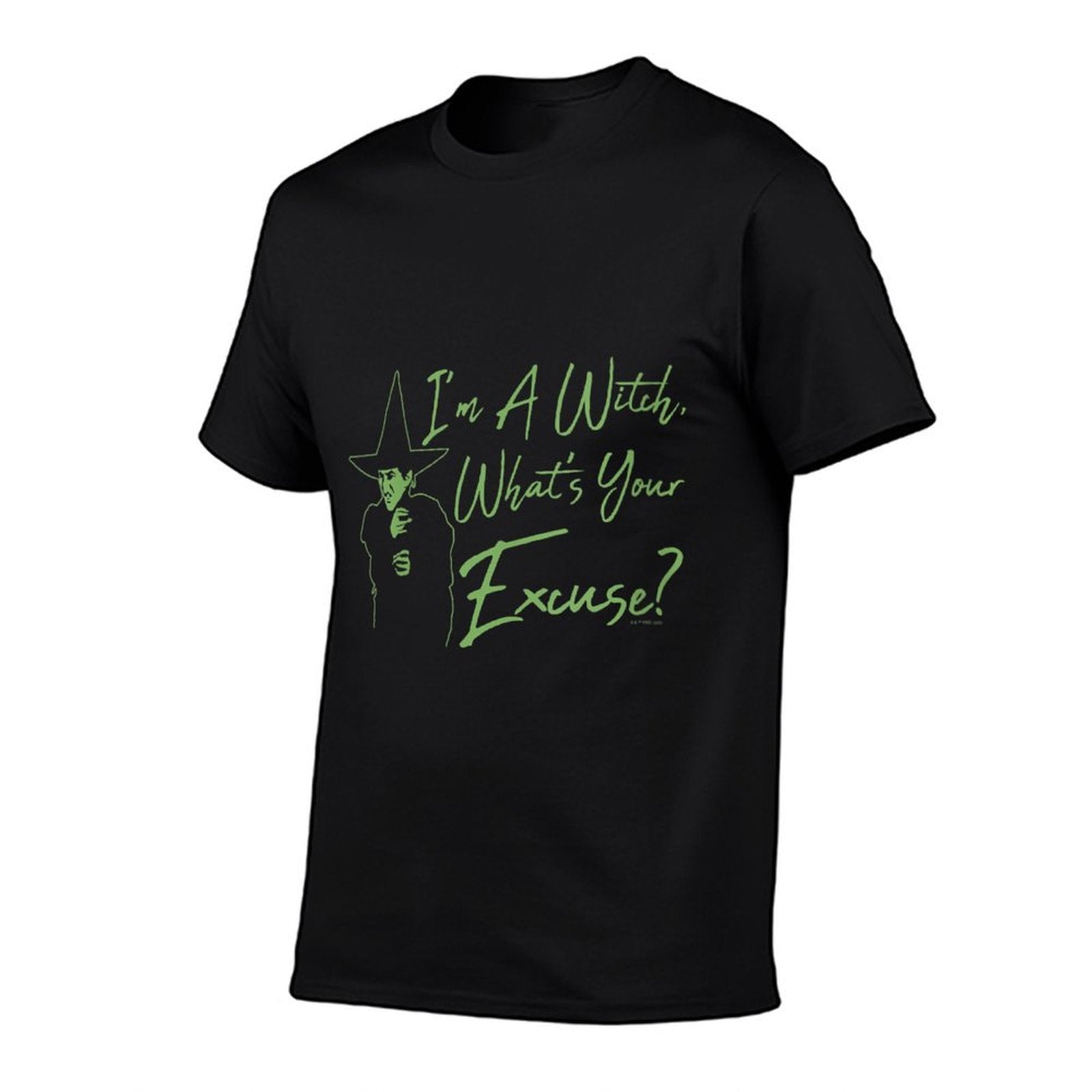 The Wizard of Oz Wicked Witch What's Your Excuse! V-Neck  Graphic-printed T-Shirt