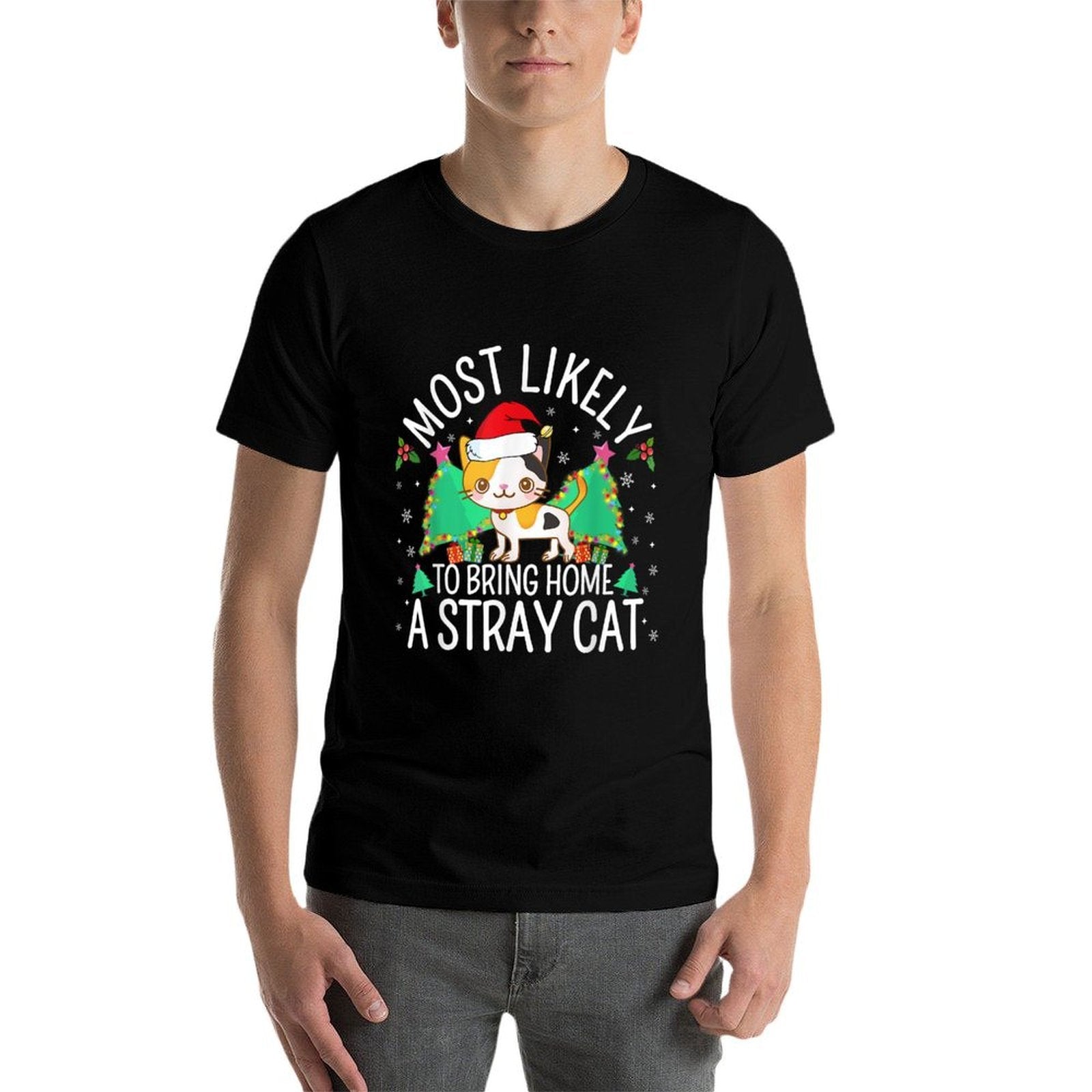 Most Likely To Bring Home A Stray Cat Lover Christmas Pajama Comfortable T-Shirt