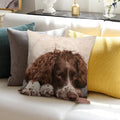 English Springer Spaniel Soft Gift Ready Throw Pillow