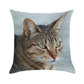 Stunning Tabby Cat CloseUp Photo Portrait Soft Bedroom Essential Throw Pillow