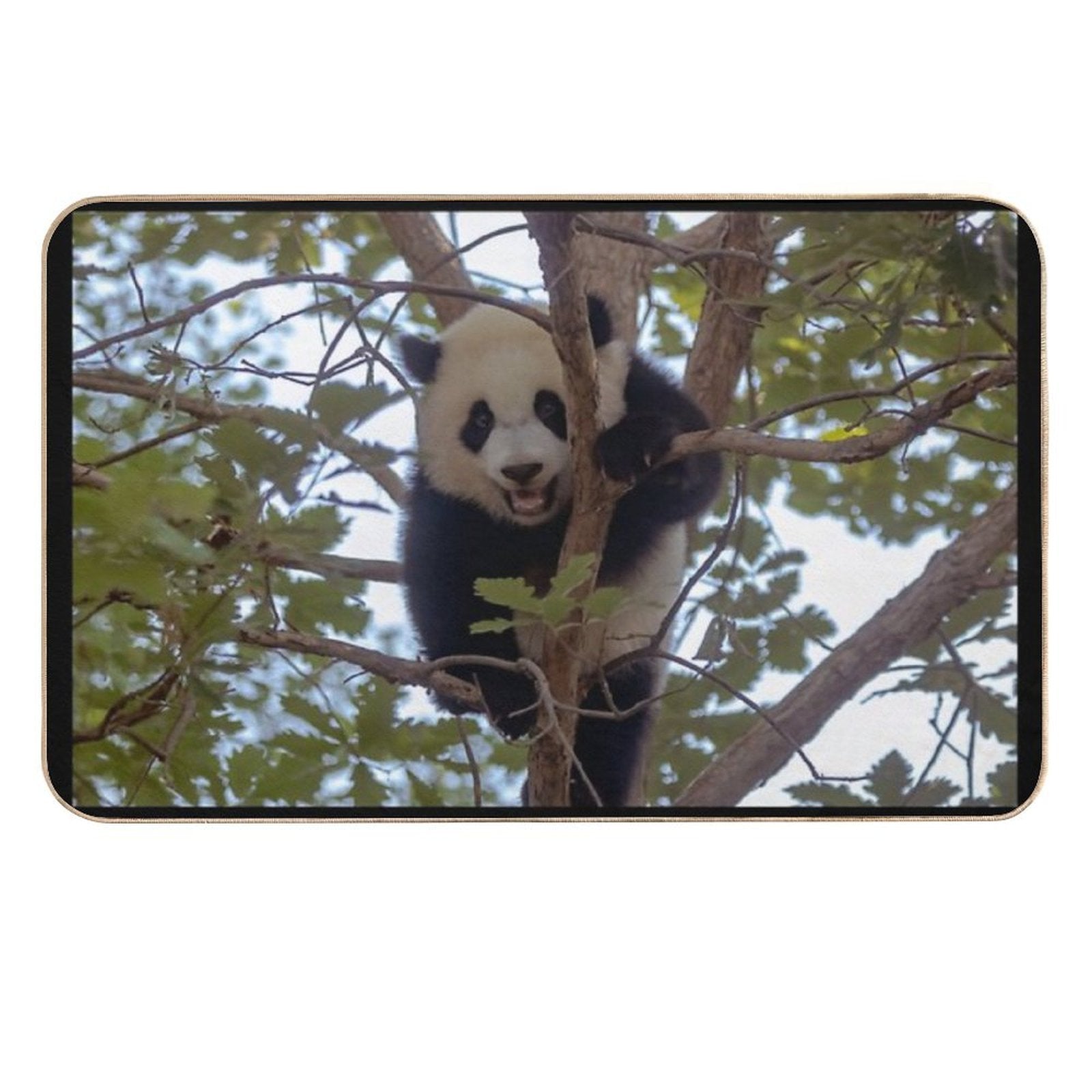 Baby Panda Xiao Qi Ji at The National Zoo  Non-Slip Bath Mat