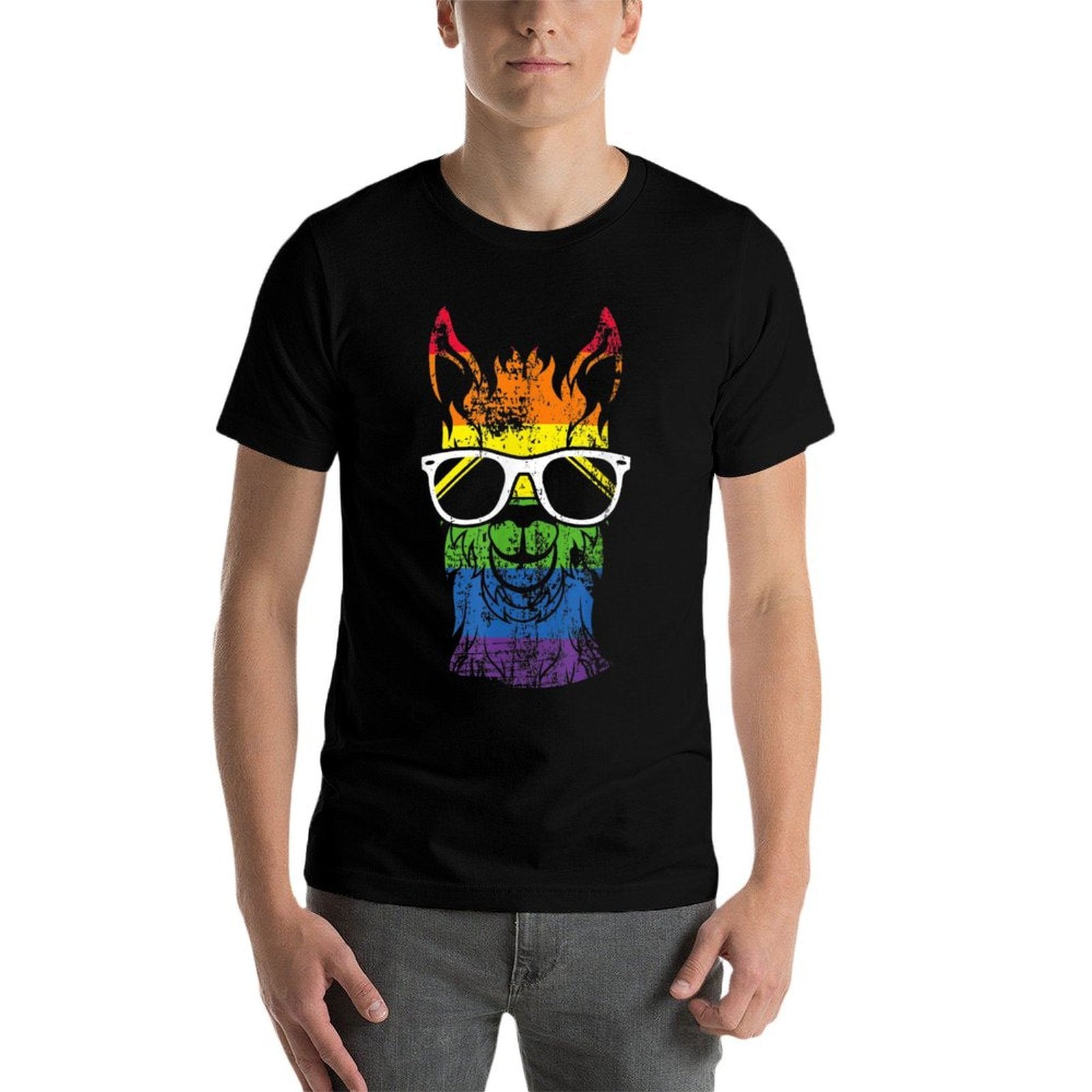 Funny Llama Lover LGBT Rainbow LGBTQ Month Parade Lover  Soft T-Shirt