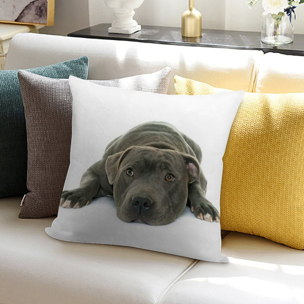 Blue Staffordshire Bull Terrier Super Cute Puppy Eyes Soft Reinforced Edging Throw Pillow