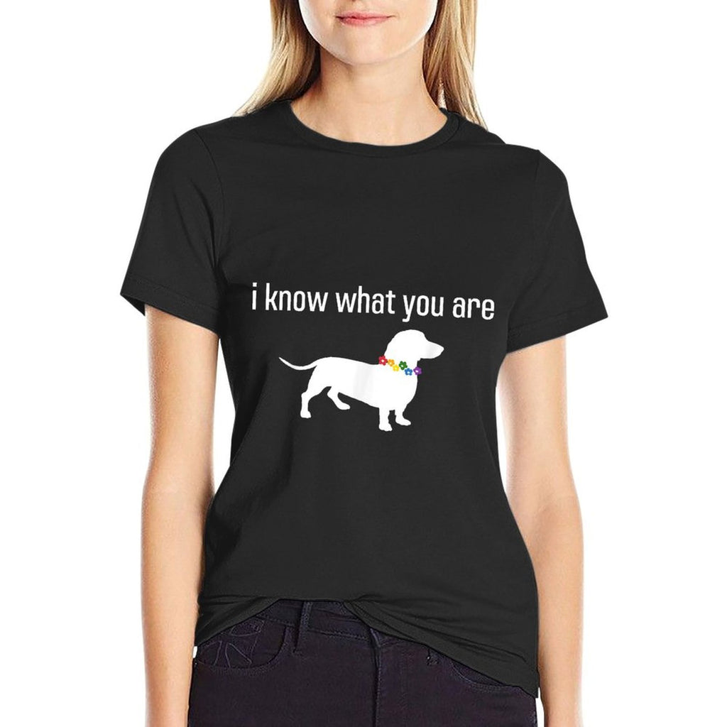 Funny Quote Meme I Know What You Are Homophobic Dog Gay LGBT for Men Women  Heathered Texture T-Shirt