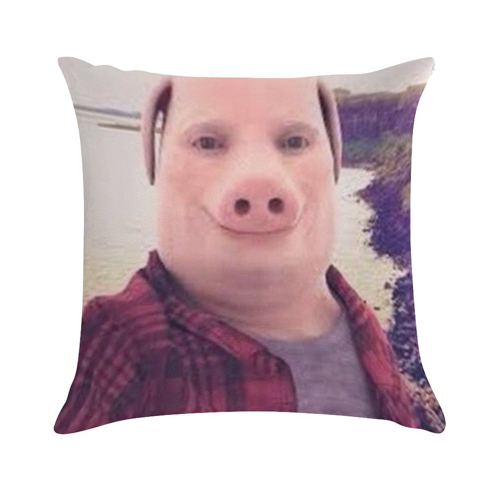 John Pork Soft Style Accent Throw Pillow