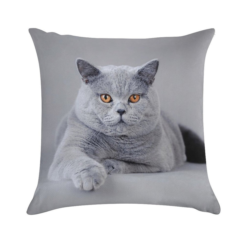 British Shorthair Cat Portrait Soft Durable Construction Throw Pillow
