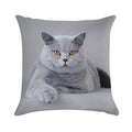 British Shorthair Cat Portrait Soft Durable Construction Throw Pillow