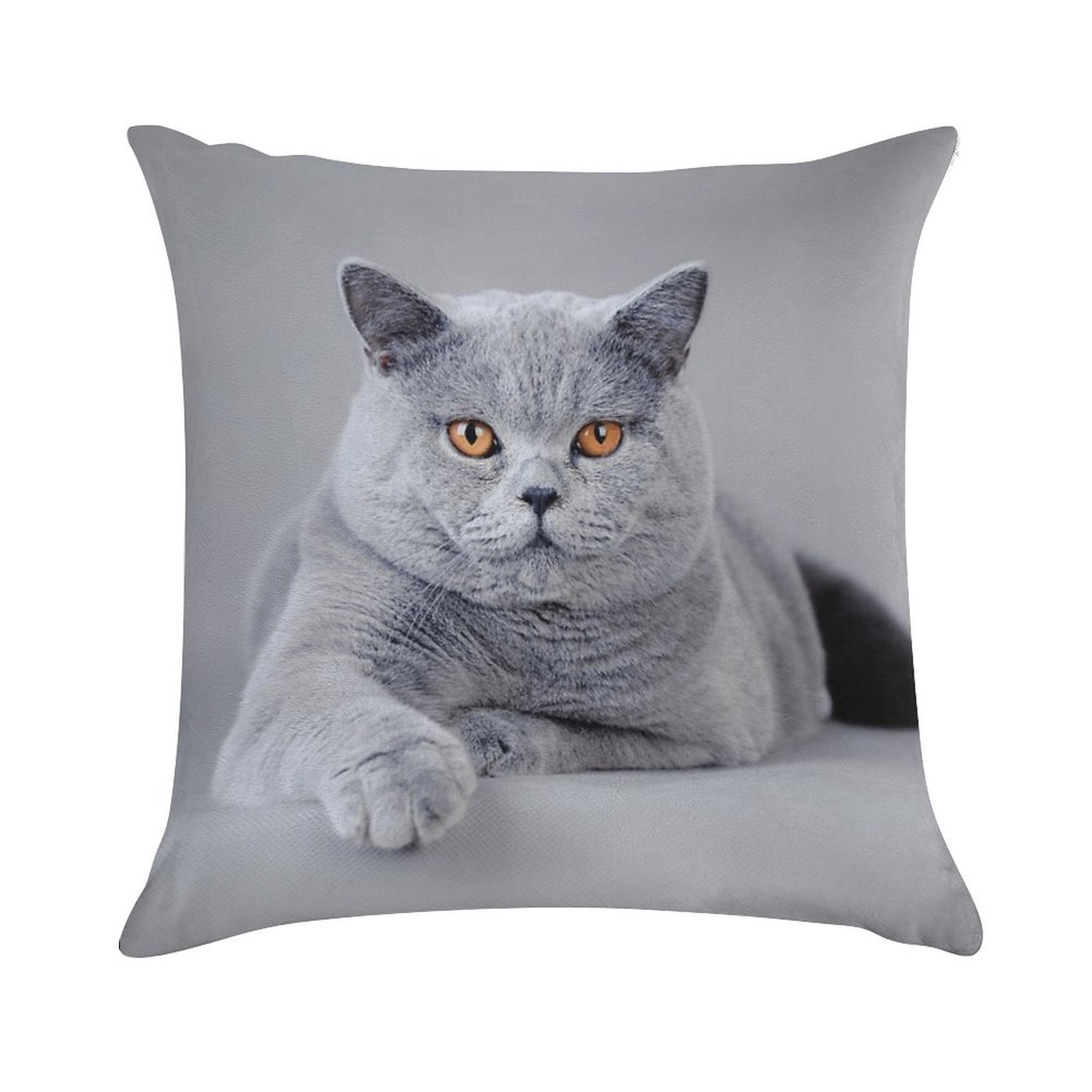 British Shorthair Cat Portrait Soft Durable Construction Throw Pillow