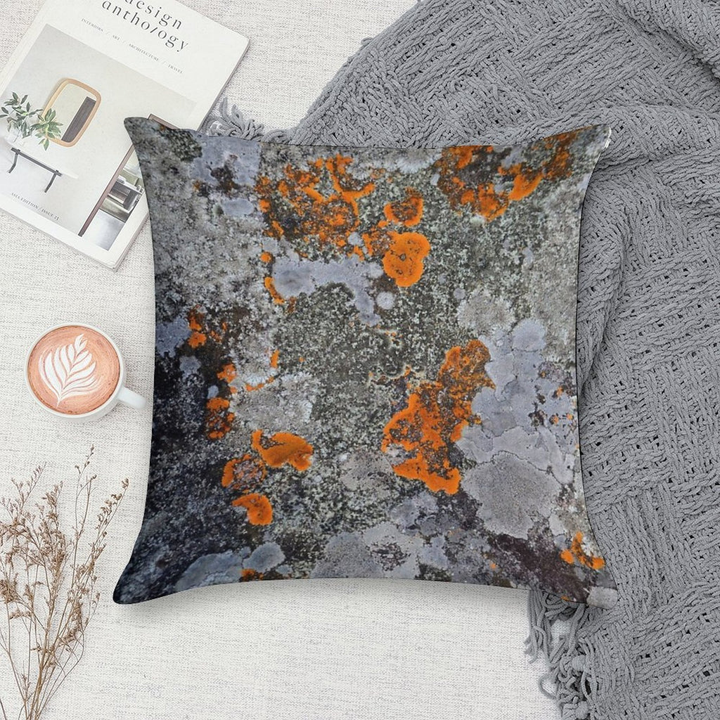 Orange And Grey Lichen Soft Gift Ready Throw Pillow