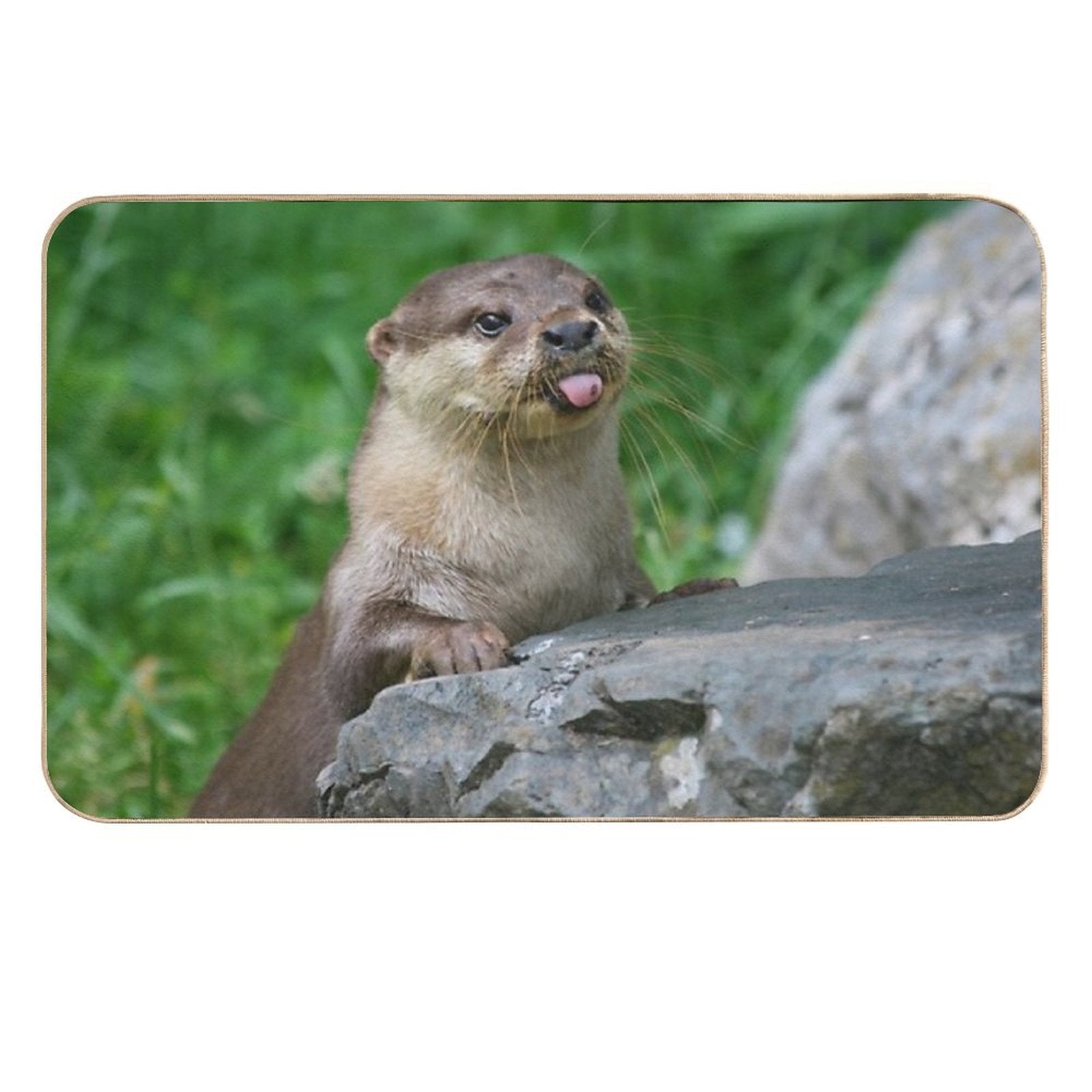 Cheeky Otter  Absorbent Bath Mat