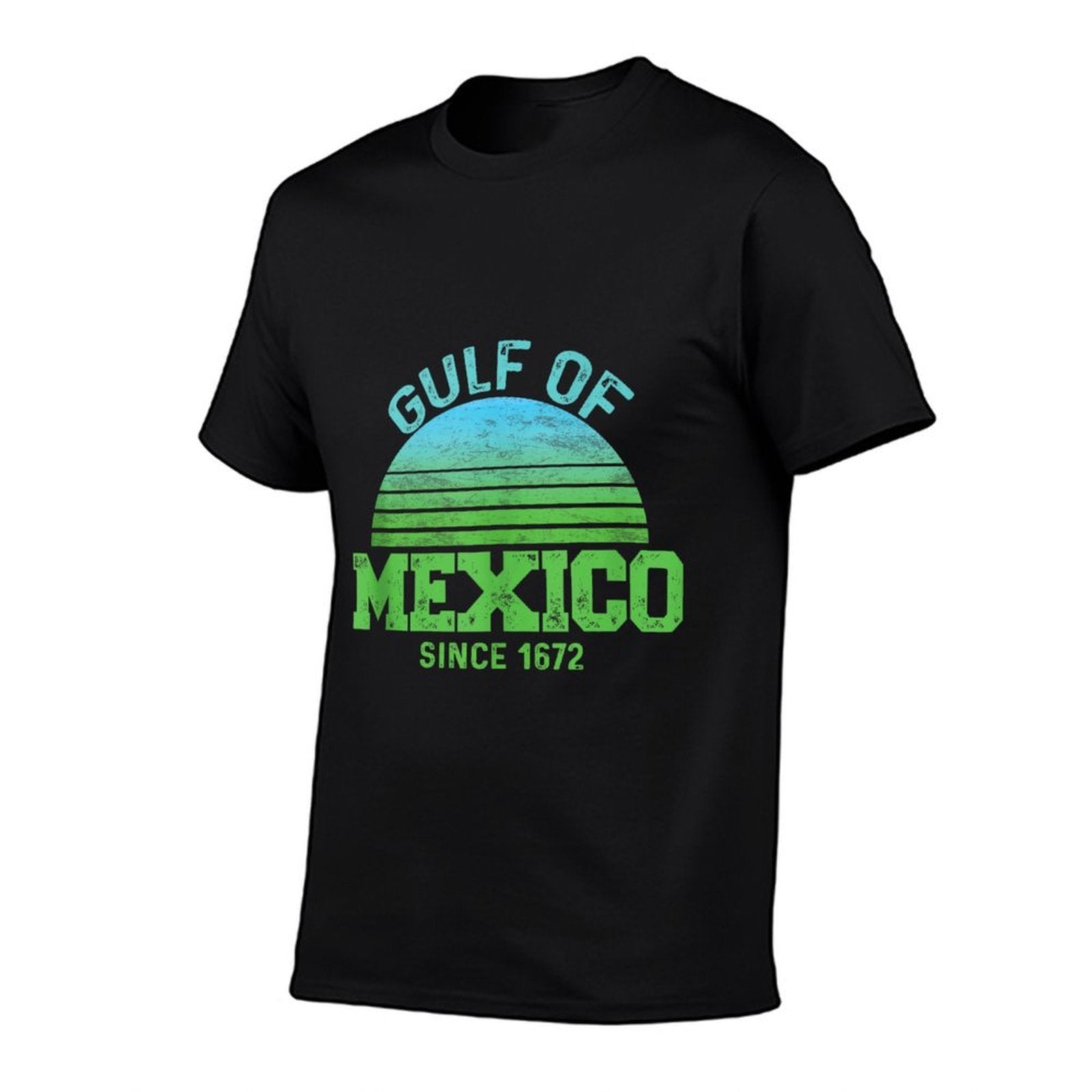 Gulf Of Mexico Forever Since 1672 Vintage Sunset Political  Durable T-Shirt