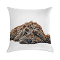 ChocolateBrown Cockapoo - White Background Soft Decorative Cover Throw Pillow