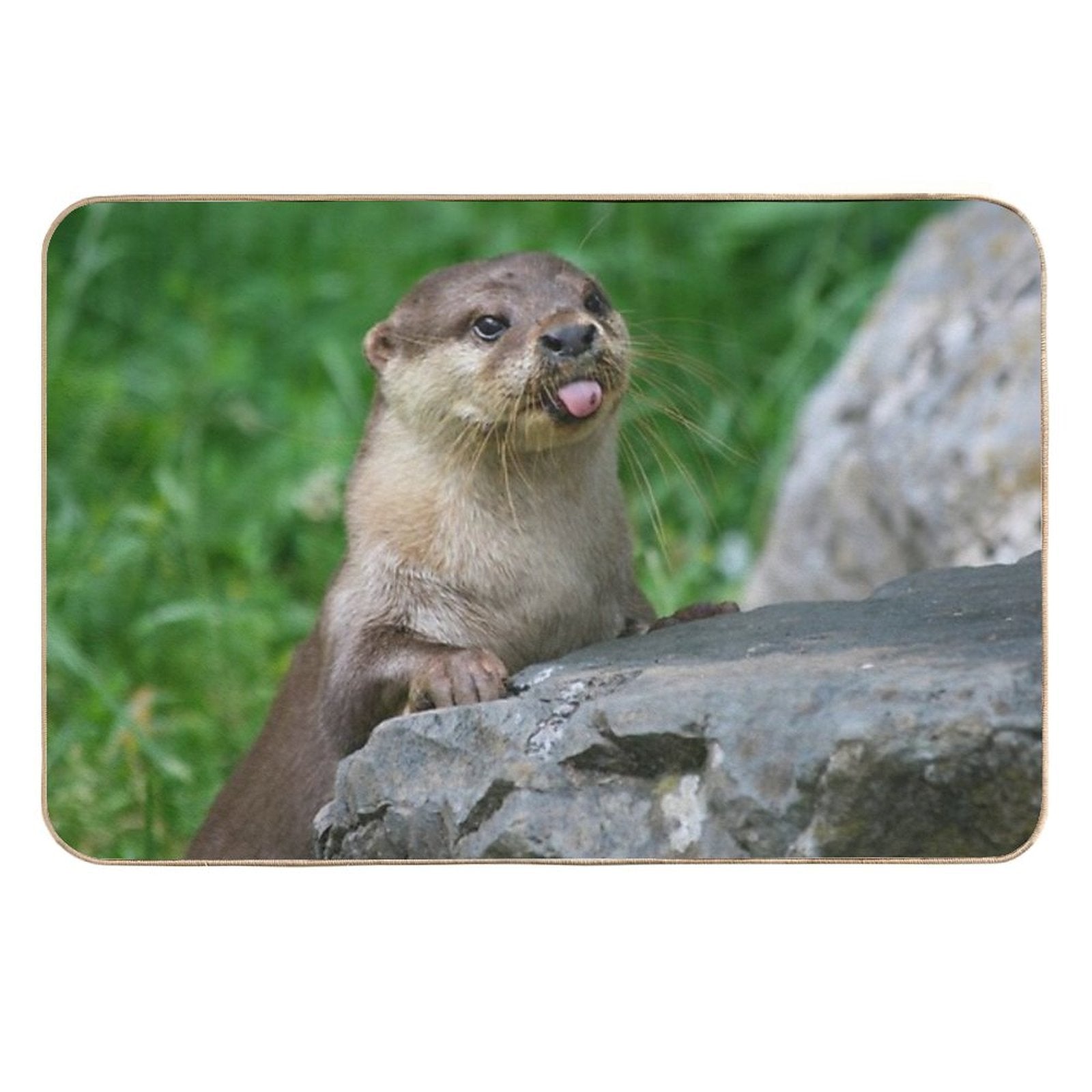 Cheeky Otter  Absorbent Bath Mat