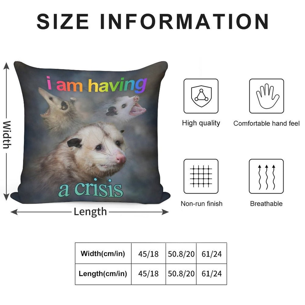 I Am Having A Crisis Possum Word Art Soft Luxury Feel Throw Pillow