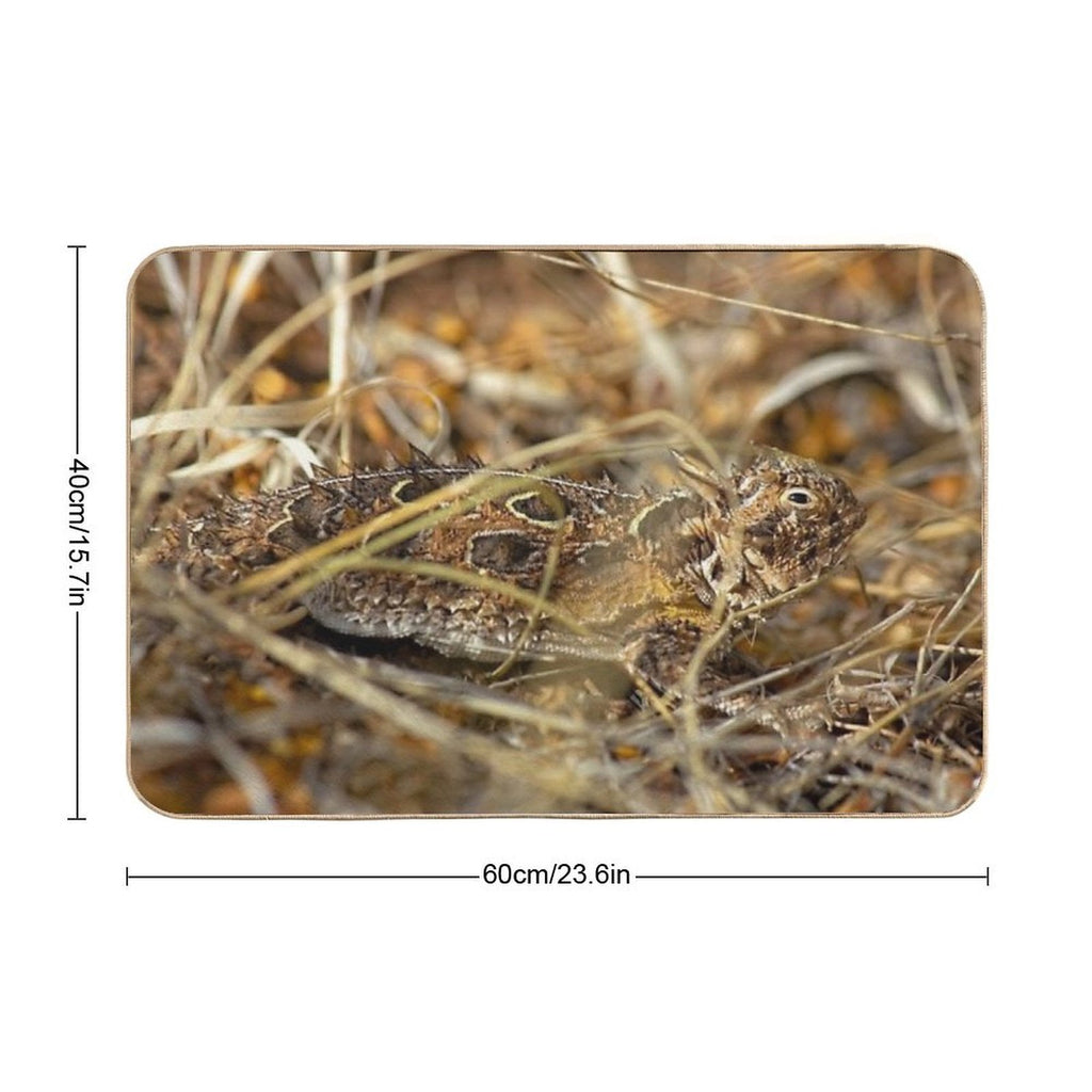 Now You See Me  Dirt-Trapping Bath Mat