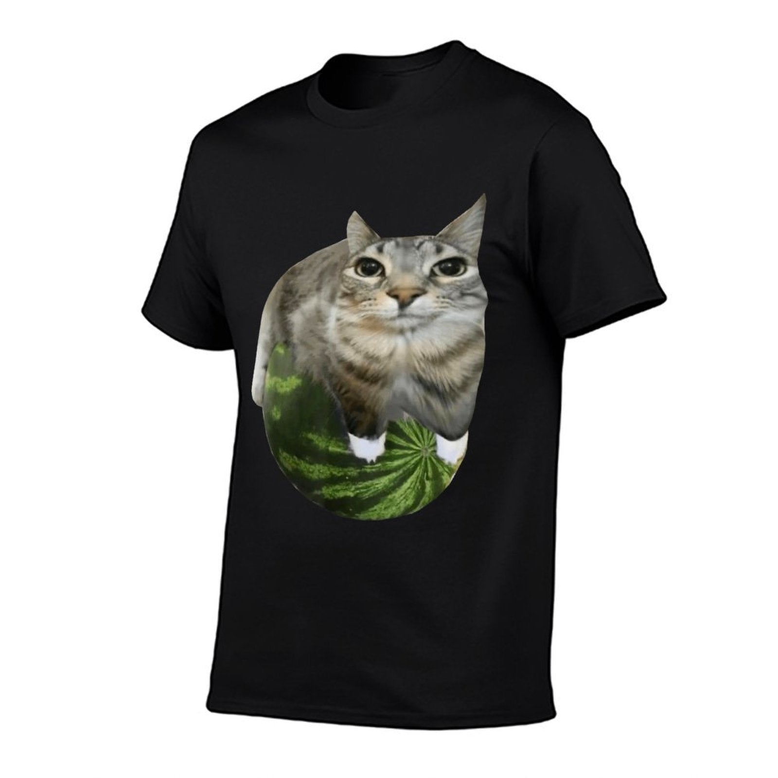 Watermelon Cat Meme  High-quality Stitching T-Shirt