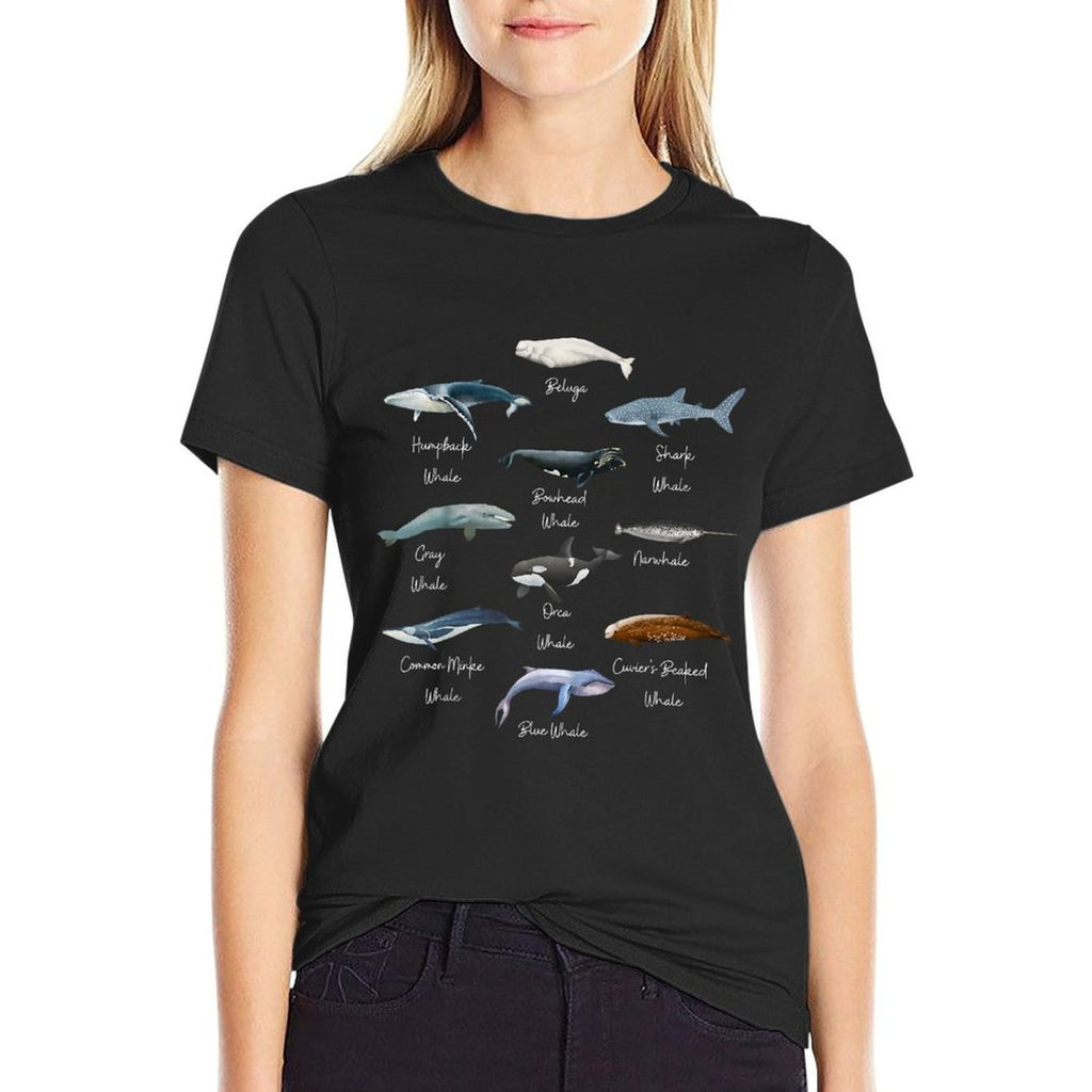 Types Of Whales Watercollor Cute Ocean Mammals Guide  Classic T-Shirt