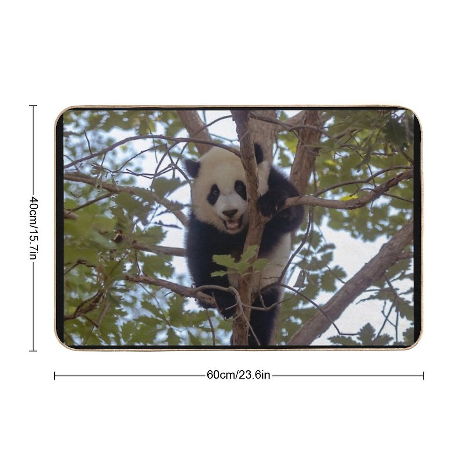 Baby Panda Xiao Qi Ji at The National Zoo  Non-Slip Bath Mat