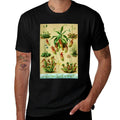 Vintage Carnivorous Plants Sarracenia Botanical  Slim-fit Cut T-Shirt