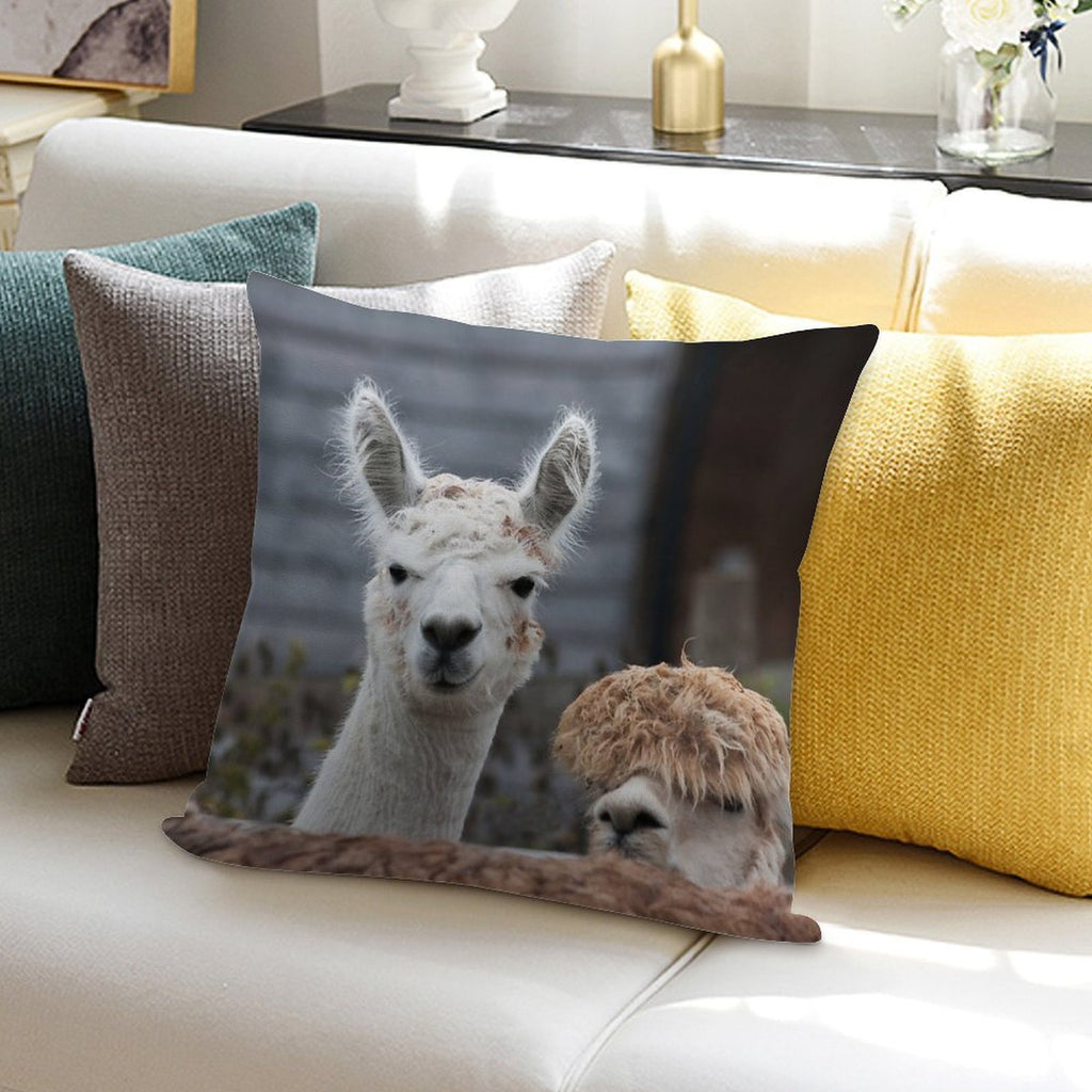 Curious Alpacas Cute Animals Soft Style Accent Throw Pillow