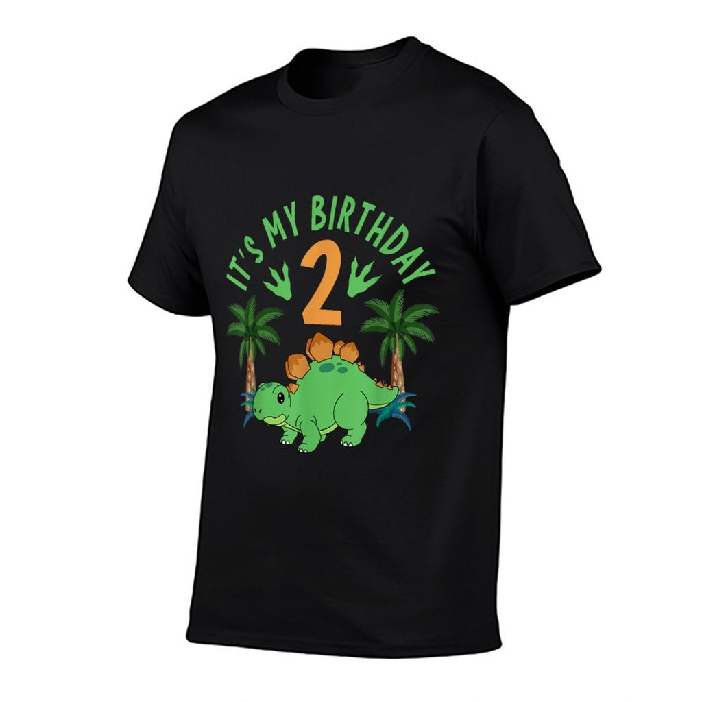 It's My 2nd Birthday Dinosaur Birthday Boy Girl Matching  Graphic-printed T-Shirt