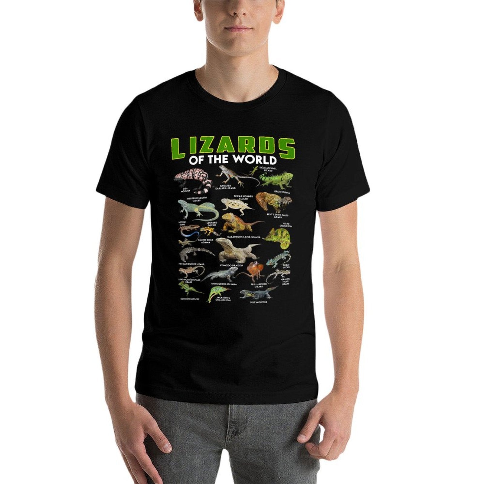 Lizards Of The World Reptile Herpetology Lizard Gifts Funny  Lightweight T-Shirt