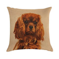 Cavalier King Charles Spaniel Soft Multiple Sizes Throw Pillow