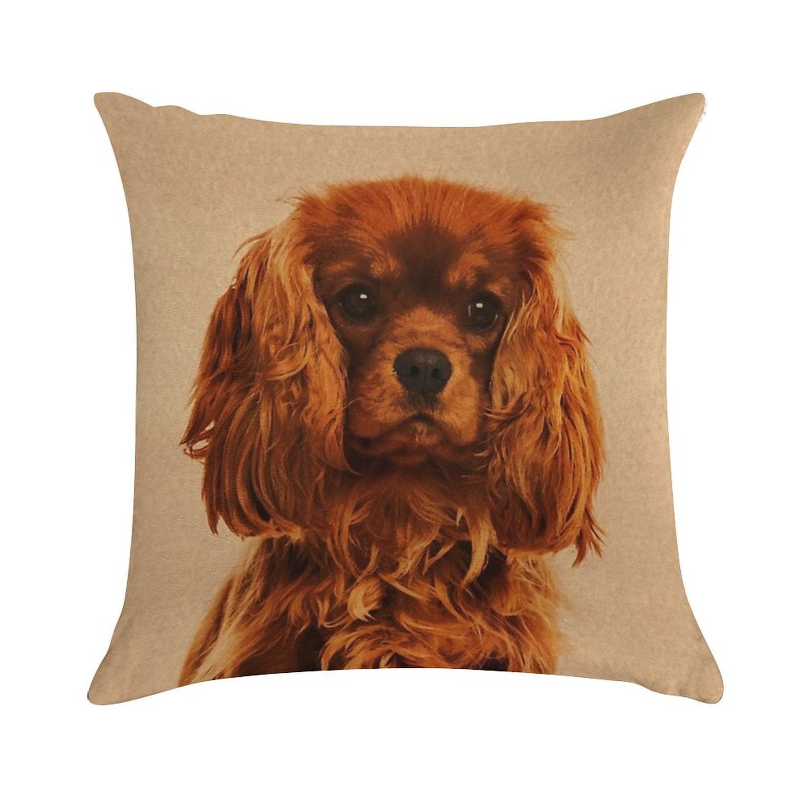 Cavalier King Charles Spaniel Soft Multiple Sizes Throw Pillow