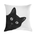 Black Cat Soft Short Plush Fabric Throw Pillow