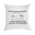 Cozy on The Couch Soft Style Accent Throw Pillow