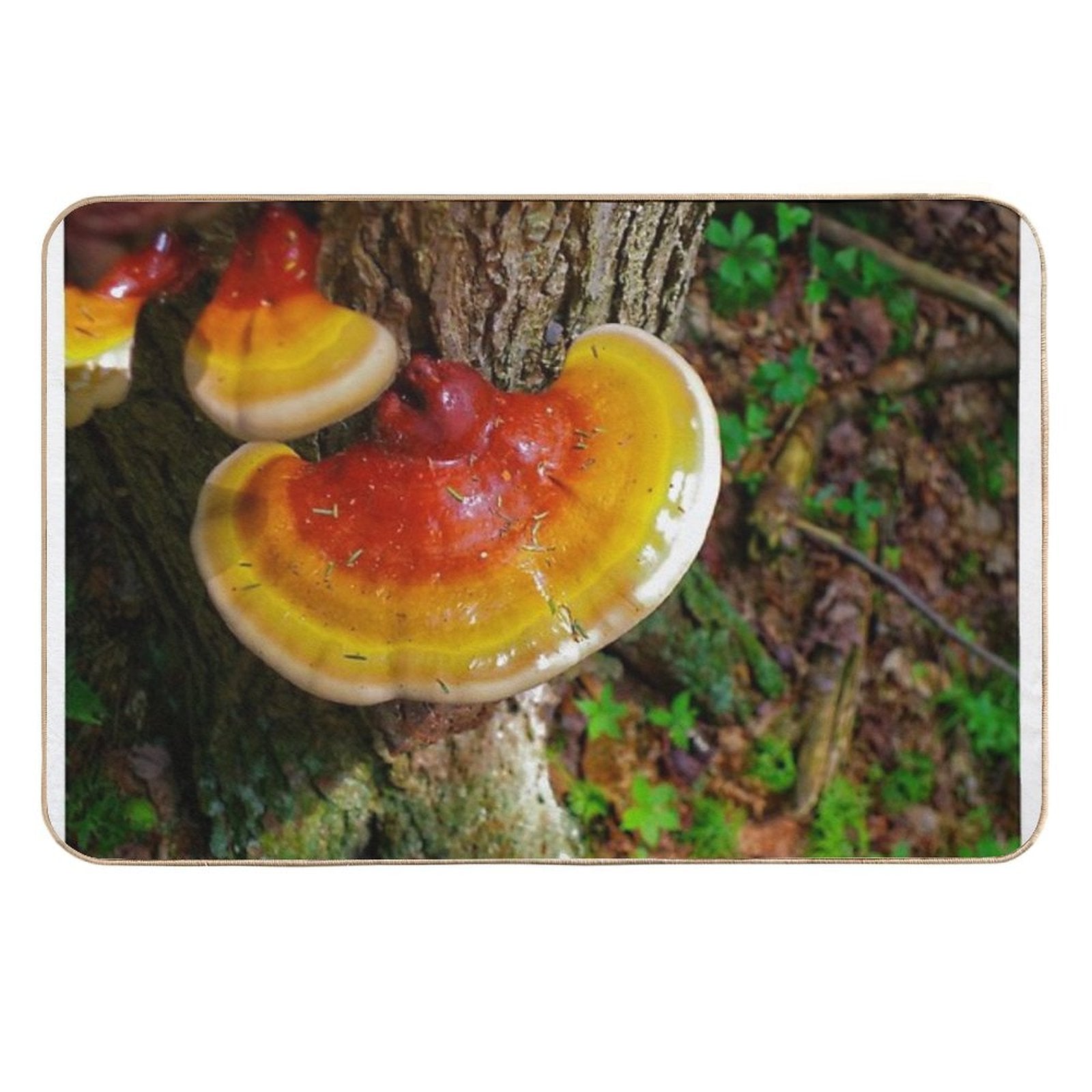 Wild Orange Mushroom in The Forest Nature Tree Print  Toxin-Free Bath Mat