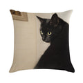 Black Cat Soft Shrink-Resistant Throw Pillow